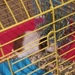 Meet your Posher, Martaja